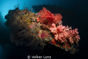 Diving at the Liberty Wreck – pic 002 by Volker Lonz 
